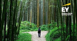 We appreciate this will be disappointing news for some people whose visas we cannot process at this time. New Zealand Immigration Covid 19 Latest Updates