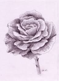 Rose Zeichnen Schritt Fur Schritt Blumen Zeichnen Rosen Zeichnen Blumen Zeichnung