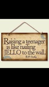 What To Expect When You Re Expecting A Teenager Quotes For Kids Funny Quotes Words