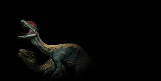 Novaraptor is the dominant raptor species, everywhere. Dilophosaurus And Novaraptor Steam Pics