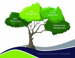Possessing strong emotional intelligence at work is one of the best ways you can improve your happiness and productivity in the office. 4 Key Branches Of Emotional Intelligence