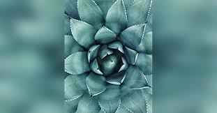 Obituary information for Kyle Lorraine Cox