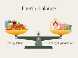 Image result for Energy Deficit Calculation