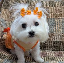 I really luv my dearest 7❤️‍🔥 O MA GA!!!