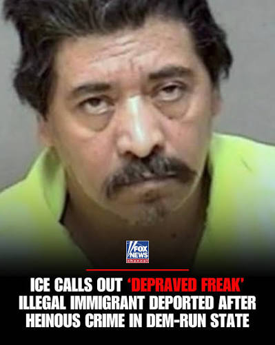 Criminals like this sicko have NO sanctuary in our nation." DHS says ICE  has deported Mexican national Marcelo Vasquez Reyna, an illegal immigrant  convicted in Virginia of sexually abusing his own teenage