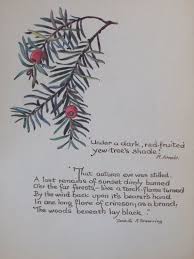 Branch Of Yew Tree Poem 1970s Botanical Print Of 1906 Edith Etsy Botanical Prints Unframed Prints Edith Holden