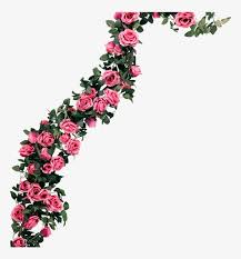 Planting flowers moonflower vine vines lawn and garden perfect plants plants hyacinth bean plantfiles pictures: Artificial Flower Vine Rose Flower Rattan Vine Wedding Raphistemma Pulchellum Transparent Png 800x800 Free Download On Nicepng