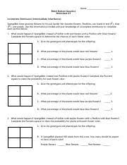 Examine the following punnett squares and circle those that are correct. Sponge Bob Genetics 3r4ewt34 Pdf Name Bikini Bottom Genetics Worksheet 3 Incomplete Dominance Intermediate Inheritance Spongebob Loves Growing Flowers Course Hero