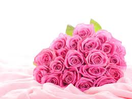 We did not find results for: Beautiful Pink Roses Hd Flower Wallpaper Cool Hd Wallpapers Beautiful Pink Rose Flower 1600x1200 Wallpaper Teahub Io