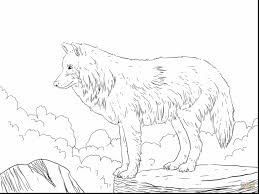 Printable mandala wolf animal adult coloring page. Get This Realistic Wolf Coloring Pages For Adults Free Printable 76831