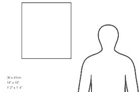 Image result for Hypericum quartinianum