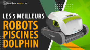 Meilleur Robot Piscine Dolphin Avis Guide D Achat Comparatif 2020 Youtube