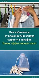 как избавиться от запаха в обуви с помощью перекиси Kak Izbavitsya Ot Vlazhnosti I Zapaha Syrosti V Shkafah Ochen Effektivnyj Sposob Shkaf Plesen Syrost Zapah Household Hacks Cleaners Homemade Helpful Hints