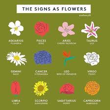 These cells can travel to other parts of the body and end up in the lymph nodes or other body organs causing problems with normal functions. Qual E A Sua Flor Lirio Touro Flower Symbol Virgo Flower Sagittarius Flower