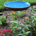 Best exercises for a great cardio workout at home. Creative Darling Bird Bath Projects For The Yard