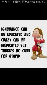 Yep You Can T Fix Stupid Humor Cant Fix Stupid Quotes