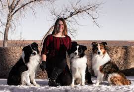 Happenstance Border Collies Home