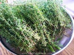 15 Benefits Of A Herb Spiral In Your Garden Herbs Herb Spiral Growing Food
