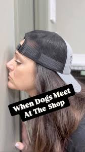 Shop Besties! 😆🐾 #comedy #doggrooming #funnydogs #funnyreels