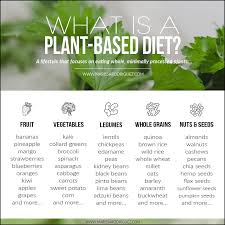 What Is A Plant Based Diet