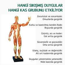 Emine Khrmn Adli Kullanicinin Bilgi Panosundaki Pin Parapsikoloji Meditasyon Yoga Meditasyon