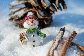 Check spelling or type a new query. Artists Wanted To Design Lake Country Christmas Cards Kelowna Capital News