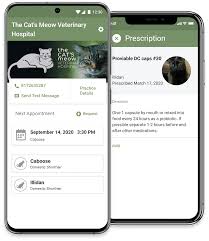 The information provided typically includes the following Behind The Exam Felv Fiv Hw Snap Tests The Cat S Meow Veterinary Hospital