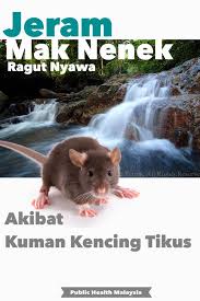 Masalah kencing tikus, leptospirosis, air kencing tikus, tanda penyakit kencing tikus penularan virus kencing tikus. Jeram Mak Nenek Ragut Nyawa Public Health Malaysia Facebook