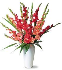 Thực hiện cắm hoa lay ơn: Cach Cáº¯m Hoa Lay Æ¡n Ä'á»ƒ Ban Thá»