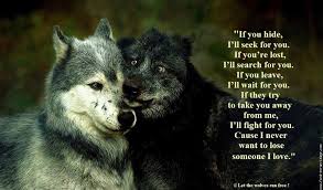 Pin By Michalina Viscel On Wolf Wolf Quotes Lone Wolf Quotes Warrior Quotes