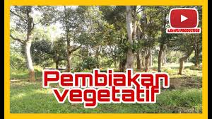 We did not find results for: Info Info Pertanian Pembiakan Vegetatif Atau Tampang Youtube