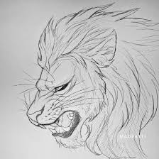 Big Cat Sketch 3 3 By Madpattii On Deviantart Animal Drawings Sketches Cool Art Drawings Art Drawings Sketches Creative