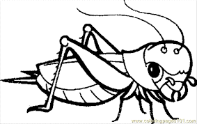 They will provide hours of coloring fun for kids. Grasshopper Coloring Page For Kids Free Grasshopper Printable Coloring Pages Online For Kids Coloringpages101 Com Coloring Pages For Kids