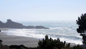 Sea Ranch Visit | dianne faw