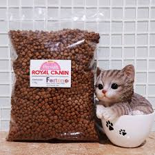 Kelebihan lain dari formula makanan ini berupa rangkaian. Royal Canin Persian Kitten Repack 1 Kg Makanan Kucing Persia Shopee Indonesia