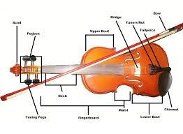 Now you are ready to place the f holes and cut them out. Learn To Play The Violin In Simple Steps Melodica