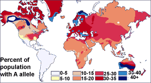 The blood have a clue to original people. Race And Genetics Wikipedia