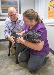 Coastal Sunrise Animal Hospital to participate in heartworm prevention  clinical trial