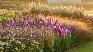 Professional Planting Design Online Course With An Expert For One Red Letter Days