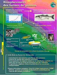 Aliments De Substitution Pour Les Poissons D Elevage Aquaculture
