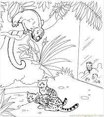Things you buy through our links may earn us a commission. Zoo Animal Coloring Page 28 Coloring Page For Kids Free Monkey Printable Coloring Pages Online For Kids Coloringpages101 Com Coloring Pages For Kids