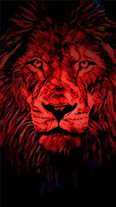 A perfect ram hide can earn an outlaw $2.75 and. 7 Lions Ideas Lions Lion Rainbow Lion
