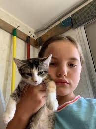 Lost dog in Cumming, GA with spinal scar