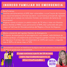 Andrea balladares letelier asume como nueva subsecretaria de servicios sociales. Orfilia Castro Ingreso Familiar De Emergencia Ife