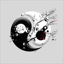 Pin On Collection Yin Yang