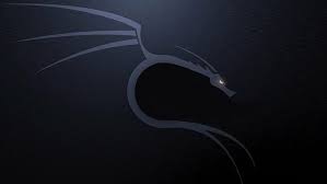 A collection of the top 49 kali linux wallpapers and backgrounds available for download for free. Kali Linux 1080p 2k 4k 5k Hd Wallpapers Free Download Wallpaper Flare