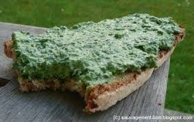 Tartine Verte Au Chenopode Blanc Et A L Ail Des Vignes Cuisine Sauvage Alimentation Repas Vegan