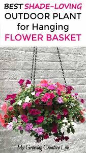 Maybe you would like to learn more about one of these? Diy Shade Loving Outdoor Plant For Flower Hanging Basket Hanging Plants Outdoor Plants For Hanging Baskets Flower Pots Outdoor