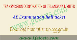 Ts Transco Hall Tickets 2018 Download Ae Posts Exam Exam Time Exam Examination Results
