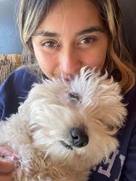 Lost white dog near St. Anne's school in Whitecourt